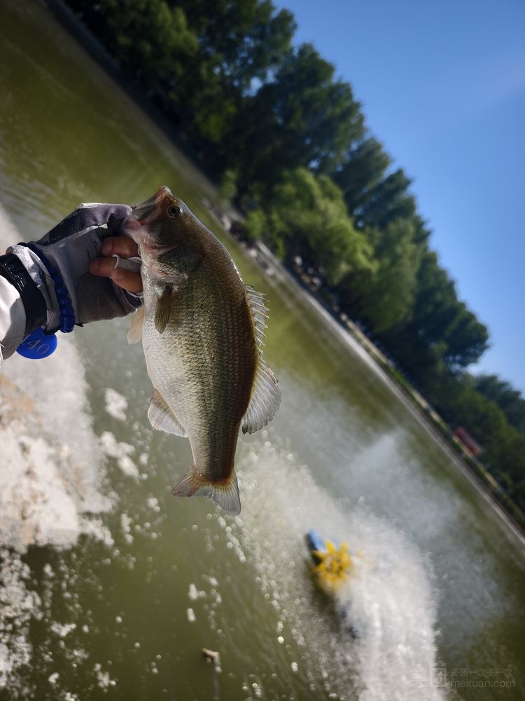 钓友鱼获